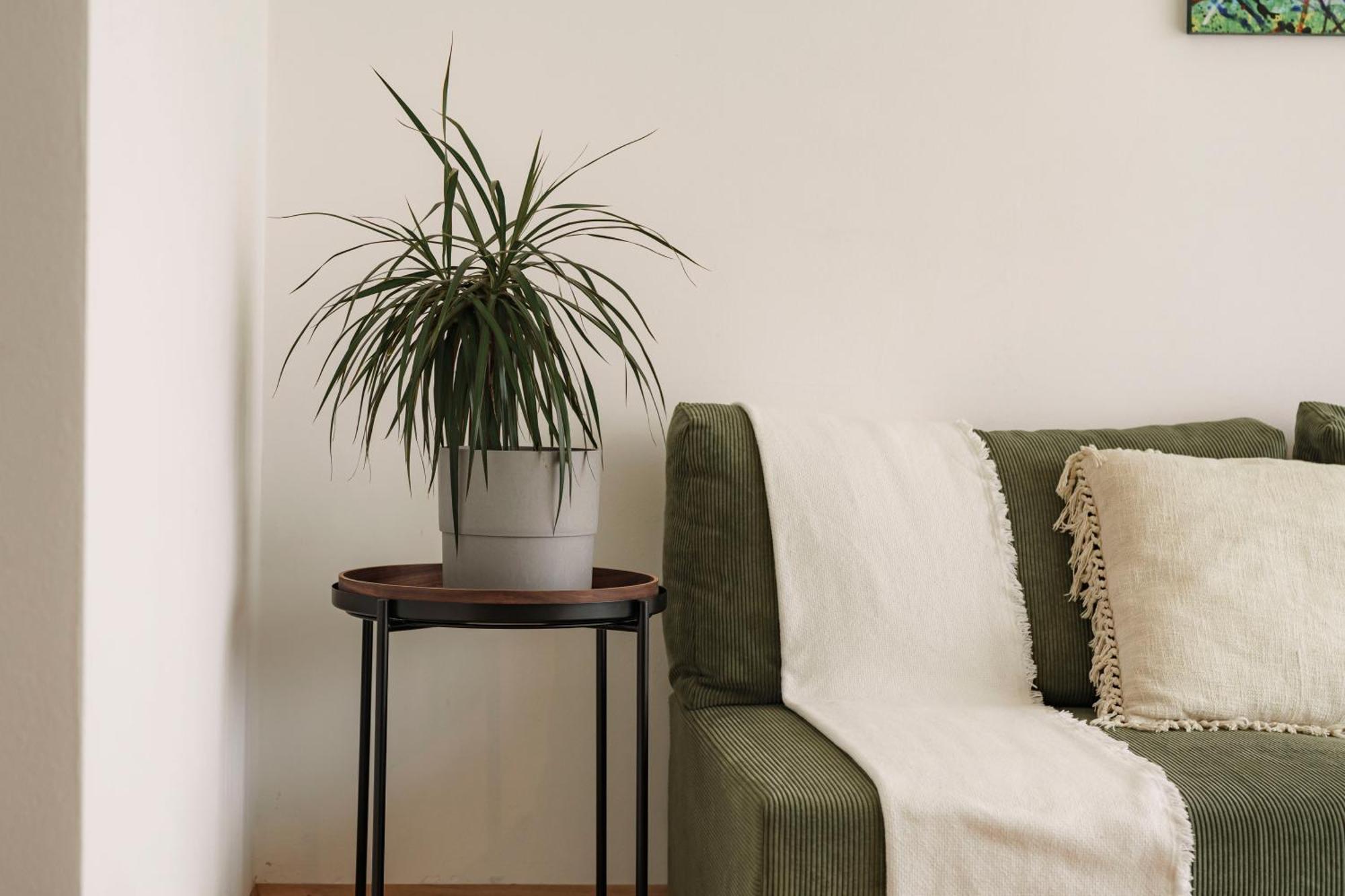 Mountain View Suites Tisens Zewnętrze zdjęcie
